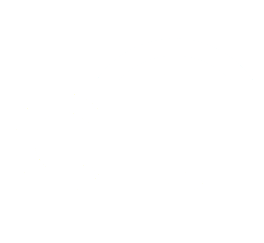 Citi Sponsor logo light